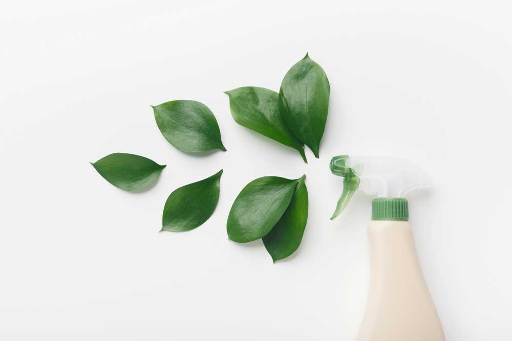 Cleaning-in-the-Summer