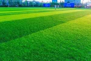 fake grass melbourne